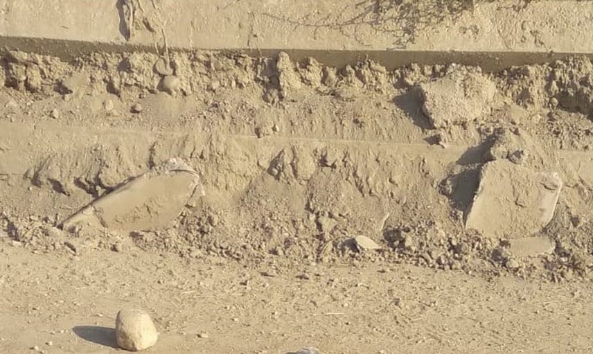 Denizli'de sokak hayvanlarına zehirli yem bırakıldı: Mahallede büyük üzüntü