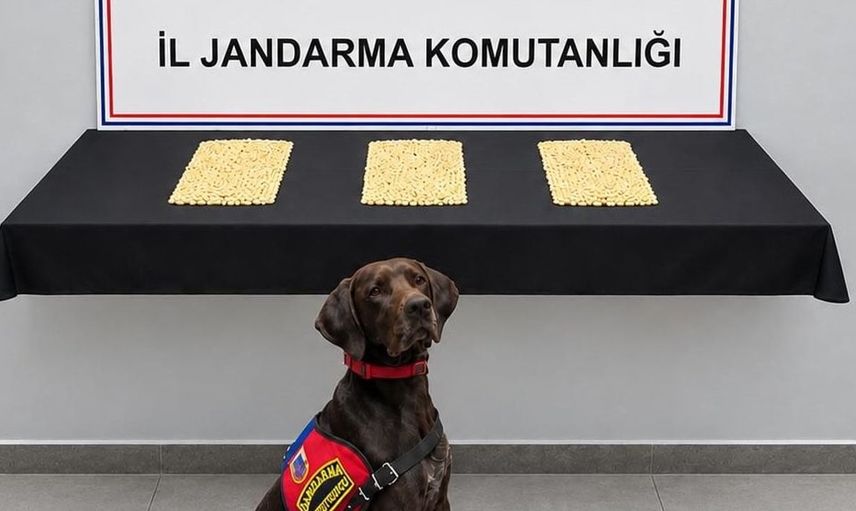 Şanlıurfa'da uyuşturucu operasyonu: 2 bin 970 Captagon hap ele geçirildi