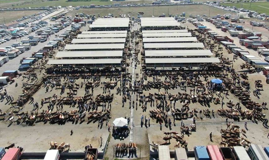 İç Anadolu'nun en büyük hayvan pazarı, sağlık açısından geçici olarak kapatıldı