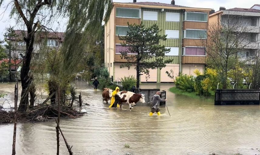 Saltukova'da sel felaketi sonrası altyapı sorunları gündeme geldi