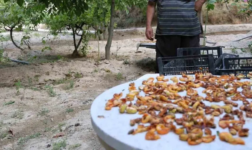 70 yaşındaki Reşat Yüzen, 41 yıldır turistlere Kapadokya'nın eşsiz tadını sunuyor
