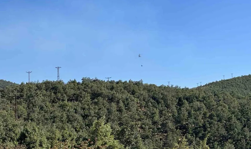 Uşak’ta çıkan meşelik yangını ekiplerin çabasıyla söndürüldü
