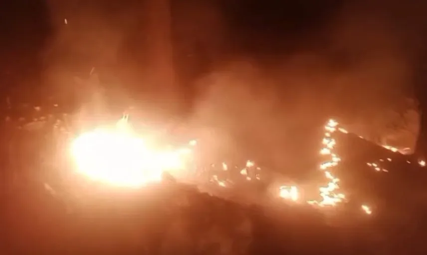 Alanya'da çıkan orman yangını 2 dönümlük alanı etkiledi