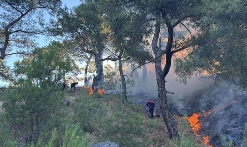 Pendik Belediyesi ekipleri Balıkesir’deki orman yangınına müdahale ediyor