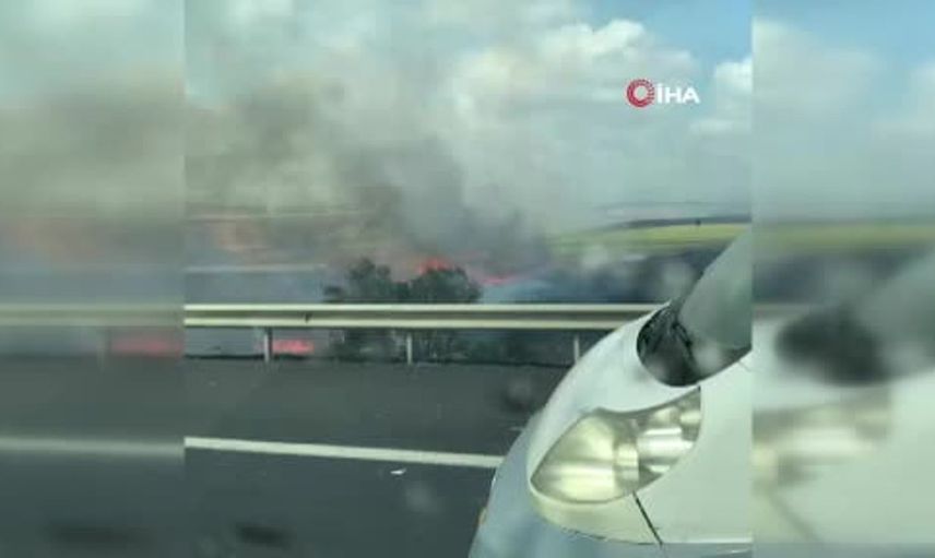 Silivri'deki tarla yangını rüzgarla yayıldı, itfaiye ekipleri seferber oldu