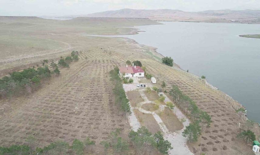 Kars'ta ağaçlandırma seferberliği: Orman yangınlarına karşı iş birliği