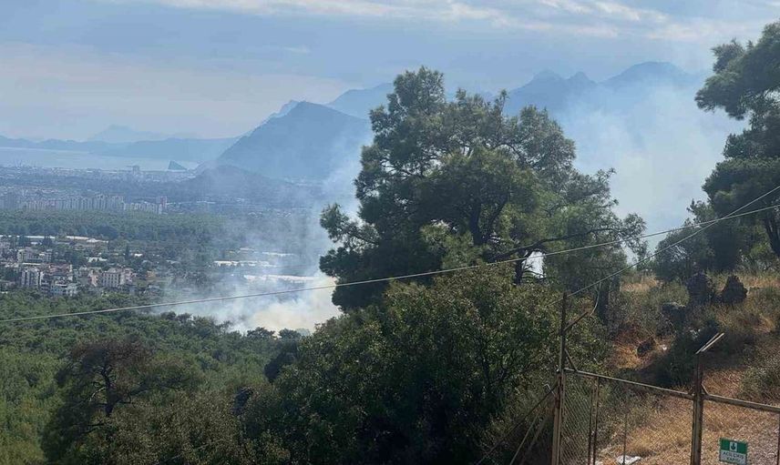 Antalya'nın Kepez ilçesinde çıkan orman yangınına acil müdahale yapılıyor