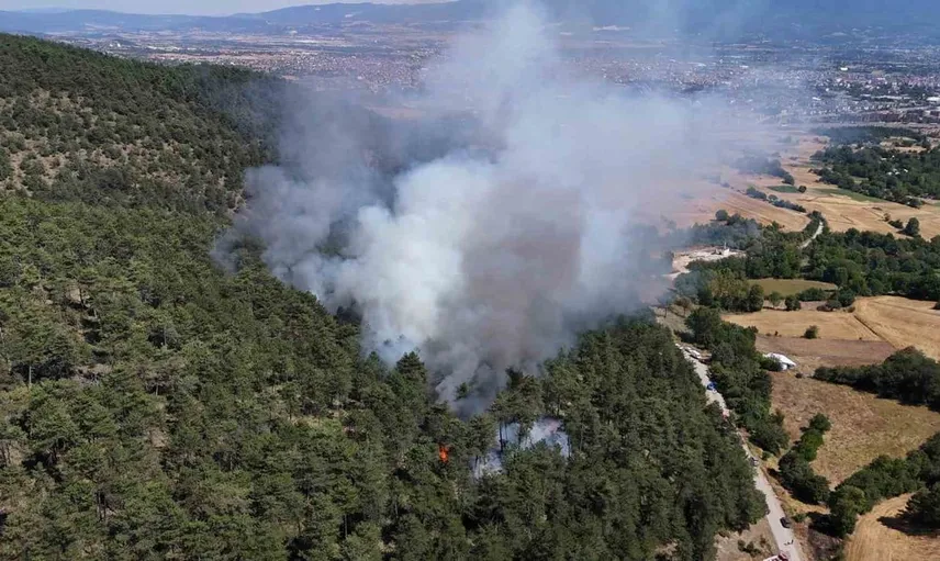 Bolu'da orman yangınına anında müdahale