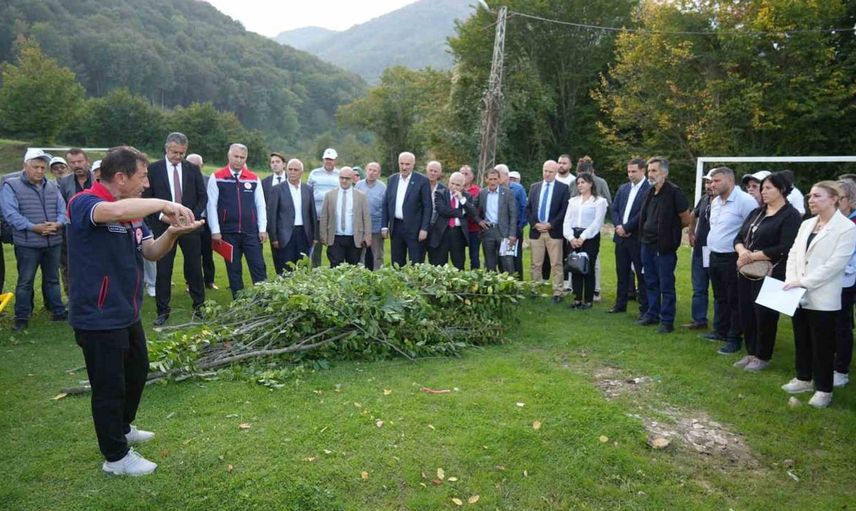 Samsun'un fındık üretiminde devrim: 10 mahallede model bahçeler kuruldu