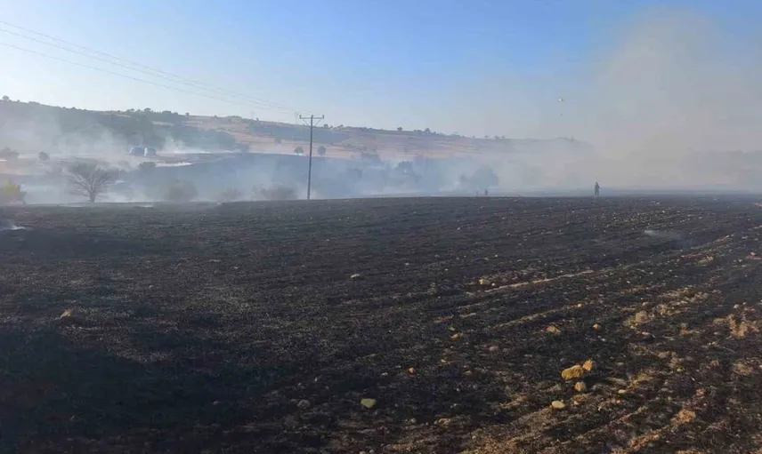 Bilecik'teki anız yangını ormana ulaşmadan kontrol altına alındı