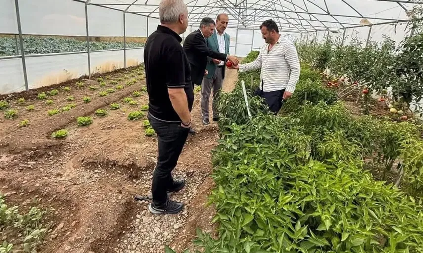 Milletvekili ateş, dolu felaketinde eko-köy çiftçilerini yalnız bırakmadı