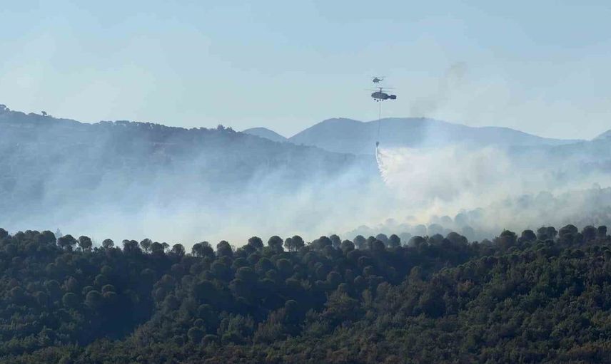 Gömeç, Ayvalık ve Bergama’da binlerce hektar ağacı kül eden yangın kontrol altına alındı