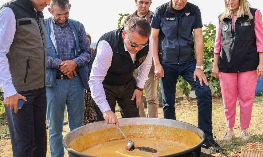 Bilecik'te üzüm hasadı başladı: Çiftçiler emeklerinin karşılığını alıyor