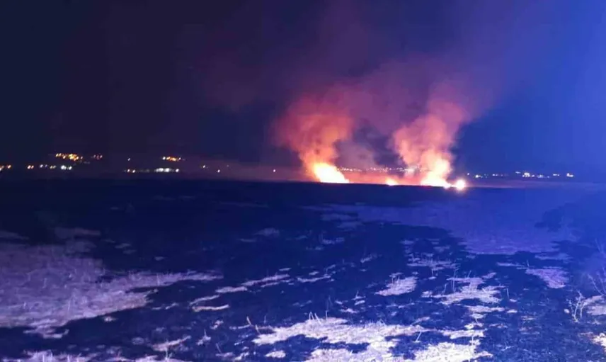 Adıyaman'da anız yangını paniğe neden oldu
