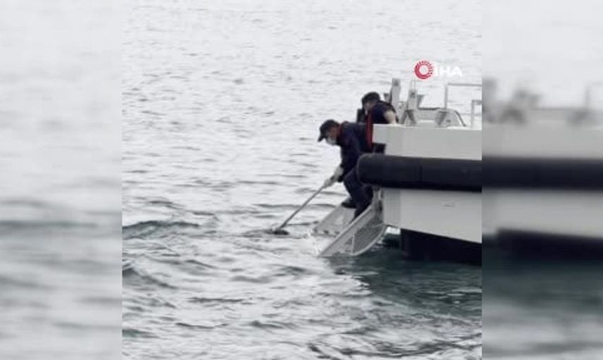 İstanbul Boğazı'nda öğretmenlerin bulduğu ceset, soruşturma başlattı