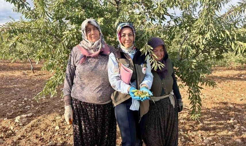 Afyonkarahisar'da meyve bahçelerinde sağlık denetimleri devam ediyor