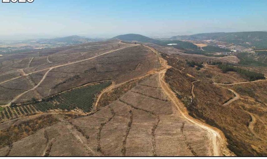 İzmir ormanları yeniden canlanıyor: 1 milyon fidan toprakla buluşacak