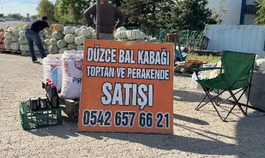 Düzce kabağının uluslararası popülaritesi artıyor