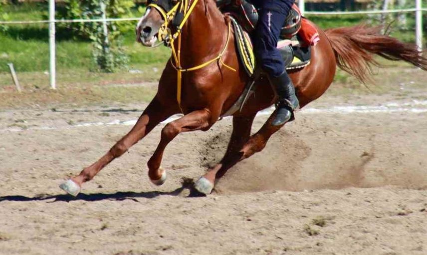 Kuzey atlı cirit spor kulübü, Türkiye finaline adını yazdırdı