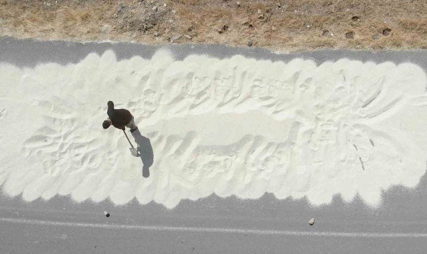 Kahramanmaraş'ta ak darı hasat dönemi başladı