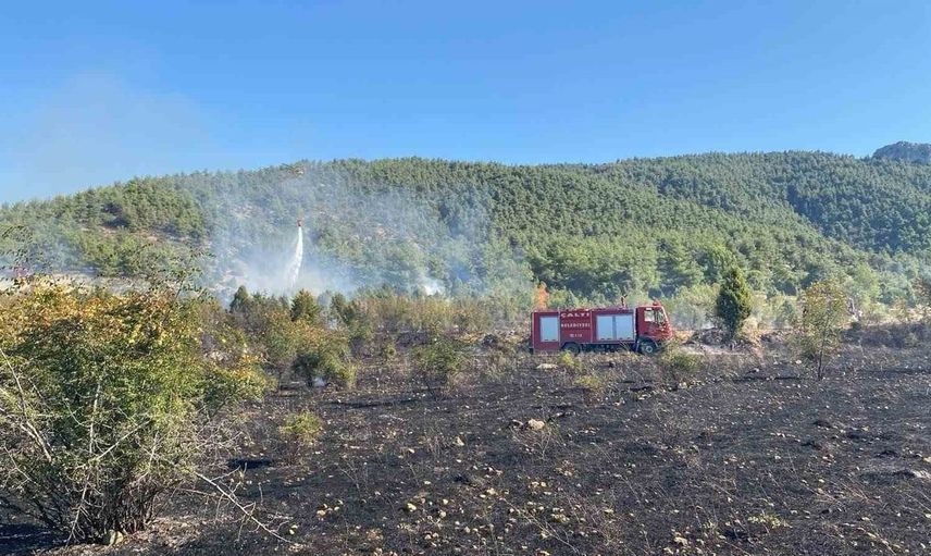 Bilecik'te çıkan tarla yangını hızla kontrol altına alındı
