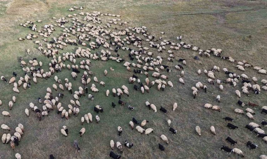 Yazdan kışa dönüş yolculuğu: göçerler Van’dan Siirt’e yola çıktı