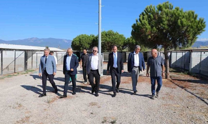 Edremit kaymakamı zafer engin sokak hayvanları merkezini ziyaret etti