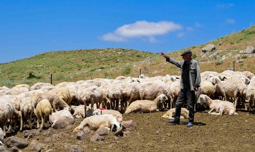 Malatya'nın 35 yıllık su sorunu çözülerek üreticiler rahat bir nefes aldı