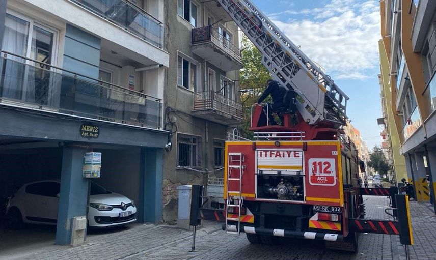 Evden kaçan kedi için itfaiye seferber oldu