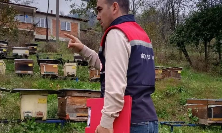 Yığılca'da arıcılık faaliyetleri için kovan sayımları devam ediyor