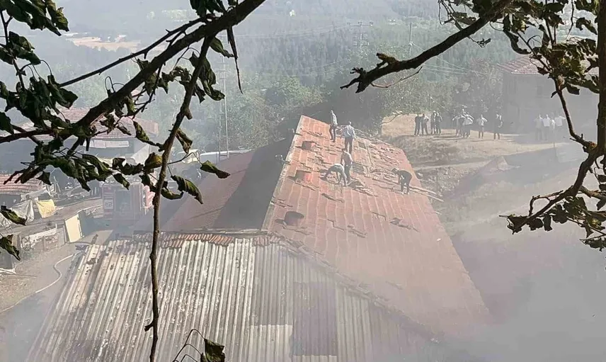 Kastamonu'da çıkan yangında 14 büyükbaş hayvan telef oldu