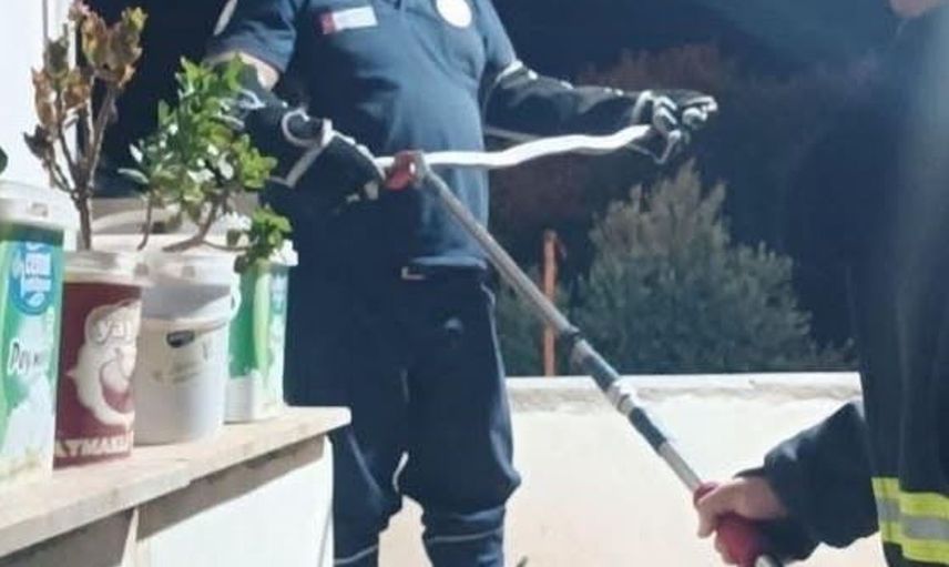 Hassa ve Erzin'de yılanlar itfaiye tarafından yakalandı