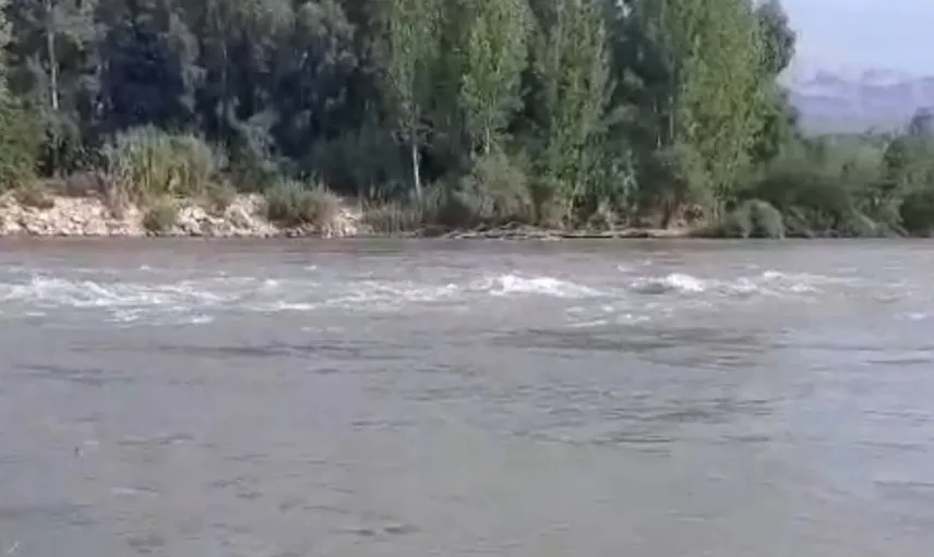 Adana'da kaybolan iki çocuğun bulunması için geniş çaplı arama başlatıldı