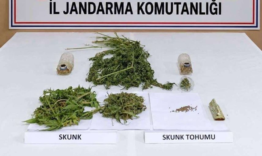 Jandarma operasyonuyla Konya'da büyük uyuşturucu ele geçirildi
