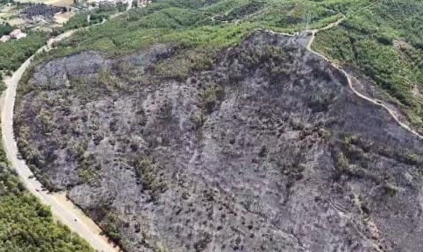 Seydikemer’deki orman yangınında yaşanan tahribat havadan görüntülendi