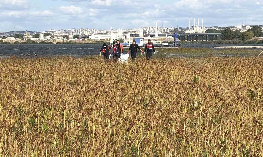 Edirne'de Meriç Nehri'nde ceset bulundu: Olayla ilgili inceleme sürüyor