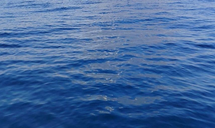 Marmaris'te orman yangını paniği: Ekipler harekete geçti