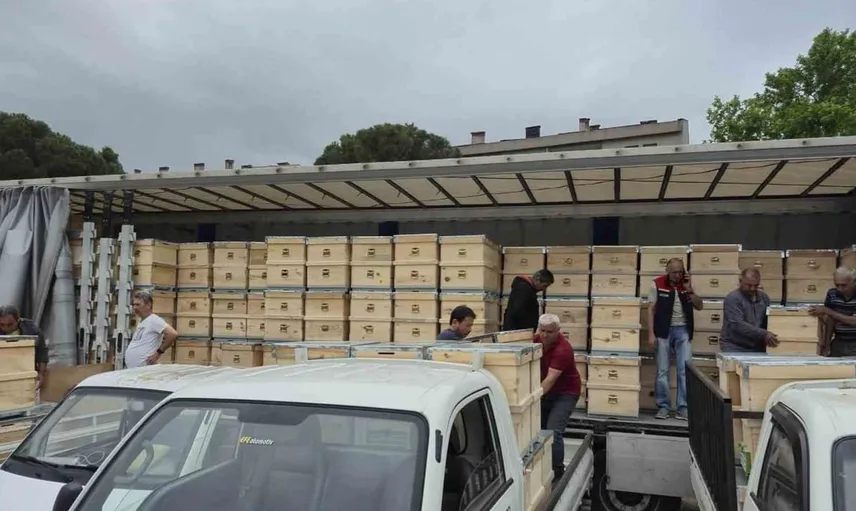 Çanakkale'de yangından etkilenen arıcılara 2 bin kovan ulaştırıldı