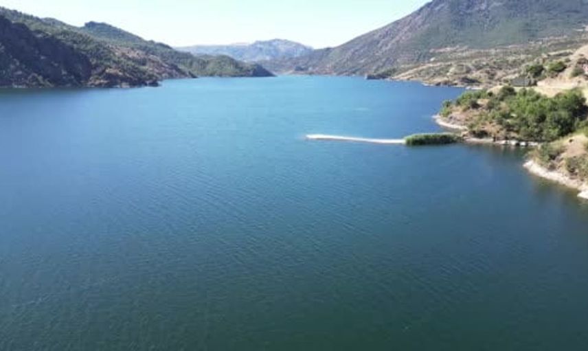 Oğuzlar'daki ormanlar yapay zeka ile korunacak
