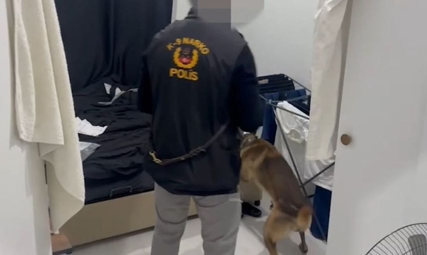Edirne'de uyuşturucu baskını: Skunk ve kokainle birlikte büyük miktarda para ele geçirildi