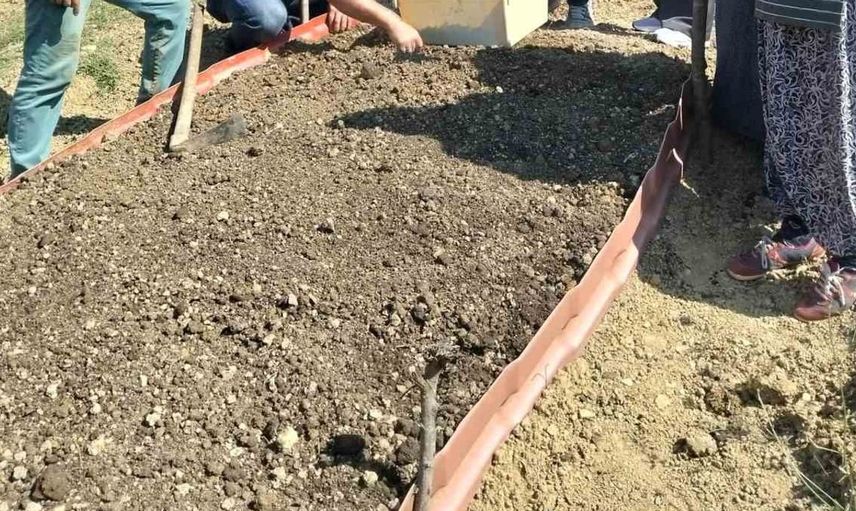 Kumluca'da salep dikimi ile yerel üreticilere destek sağlandı