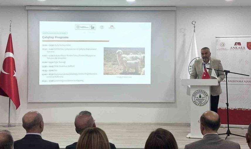Ankara keçisi için sürdürülebilir çözümler aranıyor