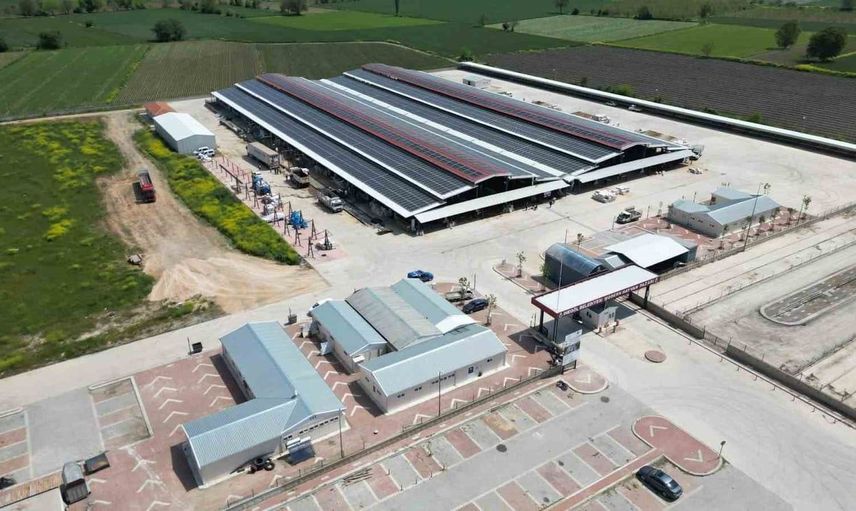 İnegöl hayvan pazarı 2 ay aradan sonra yeniden açılıyor