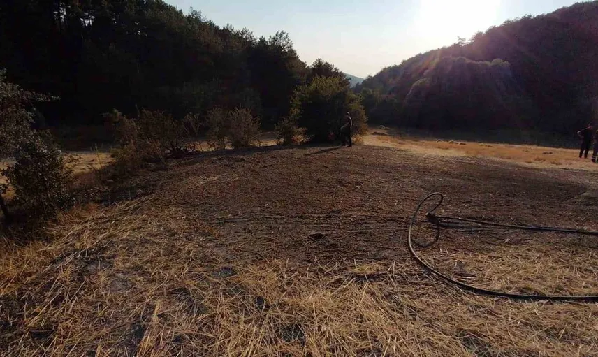 Bolu'daki anız yangınına köylülerden hızlı müdahale: Ormanlık alan kurtarıldı