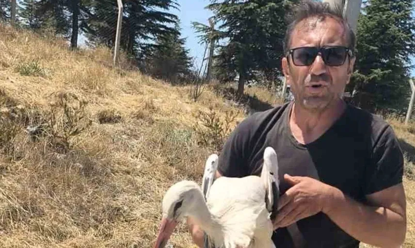 Yaralı leylek 4 gündür Eskişehir'de kurtarılmayı bekliyor
