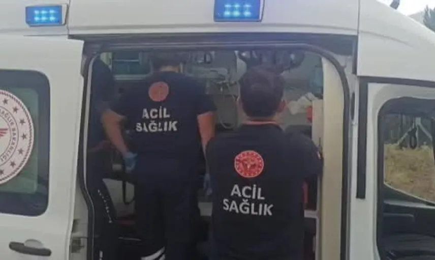 Hastaneden dönerken kaza yaparak yaralandılar