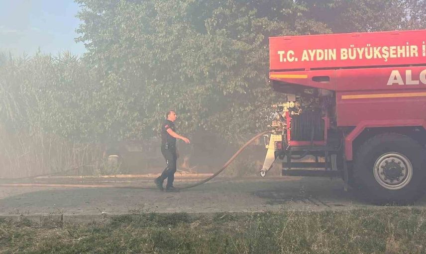 Aydın'da kuru ot yangını hayvan ağılına sıçradı
