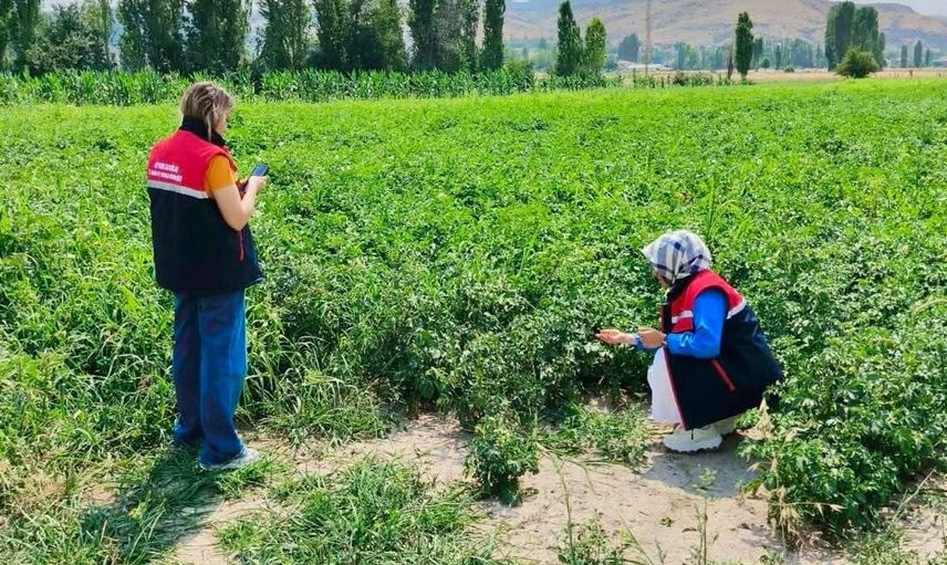 Tarım arazilerinin korunması çalışmaları sürüyor