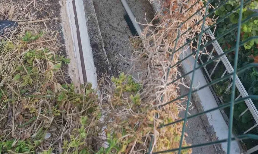 Kuşadası'nda geri manevra yapan otomobil yazlık evin verandasına düştü