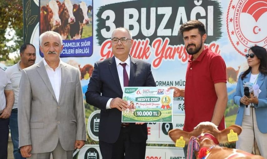 Elazığ'da buzağı güzellik yarışması heyecanı yaşandı